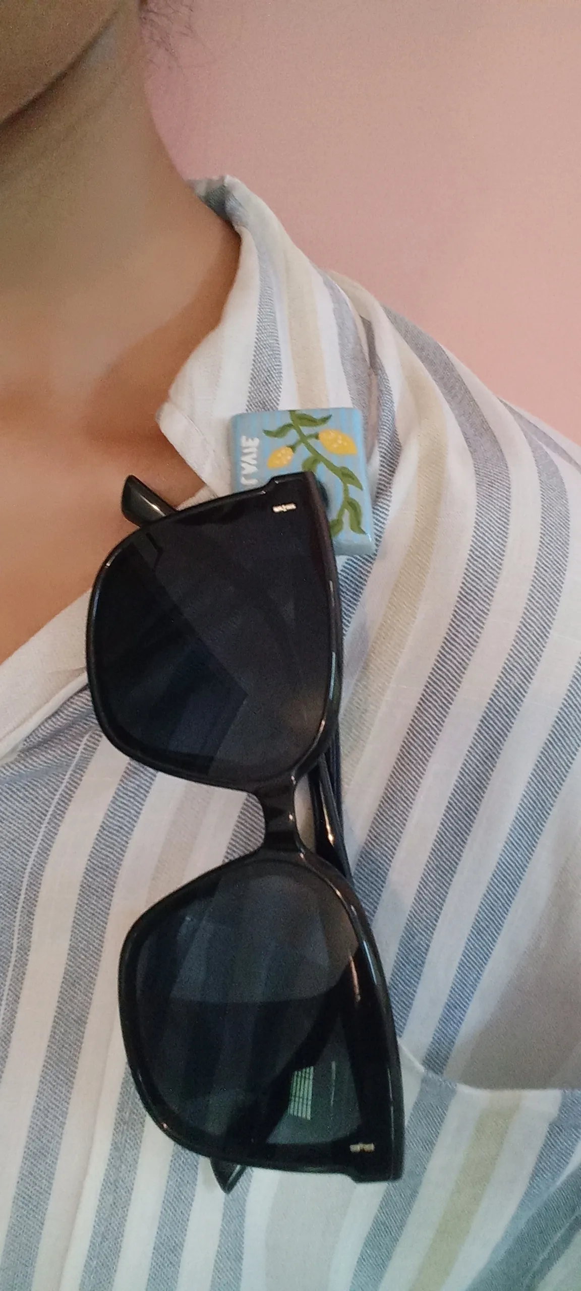 Handmade Blue & Yellow Lemon Branch Clay Sun Glasses Holder Brooch — Hand-Painted C'est La Vie Botanical Eyeglass Holder Brooch For Denims, Tote bags, Hand bags and Shirts